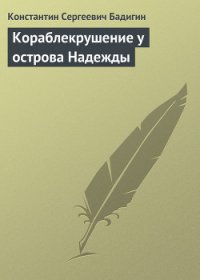 Кораблекрушение у острова Надежды - Бадигин Константин Сергеевич (книги без регистрации txt) 📗