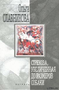 Стрекоза, увеличенная до размеров собаки - Славникова Ольга Александровна (книги без регистрации полные версии .txt) 📗