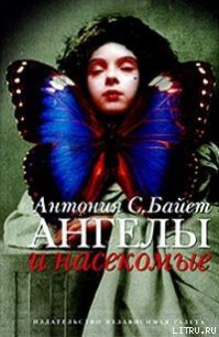 Ангел супружества - Байетт Антония С. (книги бесплатно без регистрации txt) 📗