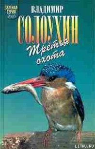 Григоровы острова (Заметки о зимнем ужении рыбы) - Солоухин Владимир Алексеевич (читать книги онлайн бесплатно полностью без TXT) 📗