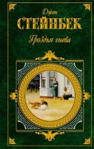 Гроздья гнева - Стейнбек Джон Эрнст (книги онлайн бесплатно без регистрации полностью txt) 📗