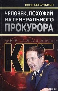 Человек, похожий на генерального прокурора, или Любви все возрасты покорны - Стригин Евгений Михайлович (библиотека электронных книг txt) 📗