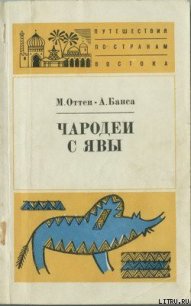 Чародеи с Явы - Оттен Мэрри (книги онлайн .TXT) 📗