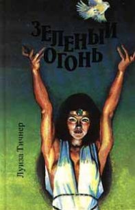 Зеленый огонь - Тичнер Луиза (книги бесплатно без онлайн .TXT) 📗