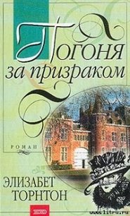 Погоня за призраком - Торнтон Элизабет (читать книги онлайн бесплатно без сокращение бесплатно txt) 📗