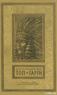 Топ и Гарри - Вельскопф-Генрих Лизелотта (бесплатная регистрация книга TXT) 📗