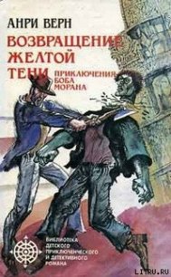 Двойники Желтой Тени - Верн Анри (читать книги онлайн без .TXT) 📗