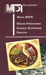 Школа Робинзонов - Верн Жюль Габриэль (бесплатные полные книги .TXT) 📗