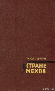 В стране мехов - Верн Жюль Габриэль (лучшие книги читать онлайн бесплатно .txt) 📗