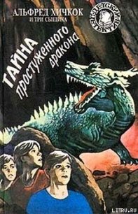 Тайна простуженного дракона - Вест Ник (книги онлайн бесплатно без регистрации полностью .txt) 📗