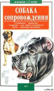 Собака сопровождения - Высоцкий Валерий Борисович (бесплатные версии книг TXT) 📗