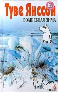 Волшебная зима - Янссон Туве Марика (мир книг .txt) 📗