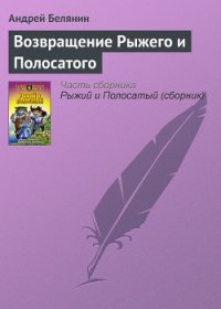 Возвращение Рыжего и Полосатого - Белянин Андрей Олегович (читать книги онлайн полностью без сокращений TXT) 📗