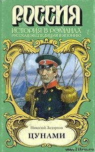 Цунами - Задорнов Николай Павлович (книги хорошем качестве бесплатно без регистрации .txt) 📗