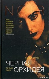 Черная Орхидея - Эллрой Джеймс (полная версия книги TXT) 📗