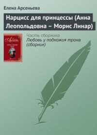 Нарцисс для принцессы (Анна Леопольдовна – Морис Линар) - Арсеньева Елена (читать книги без сокращений TXT) 📗