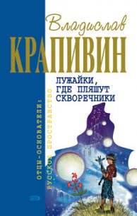 Бабушкин внук и его братья - Крапивин Владислав Петрович (читать книги онлайн бесплатно полностью без сокращений txt) 📗