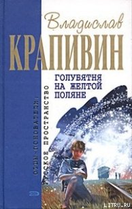 Голубятня на желтой поляне - Крапивин Владислав Петрович (книги онлайн полные версии .txt) 📗