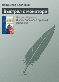 Выстрел с монитора - Крапивин Владислав Петрович (читать книгу онлайн бесплатно полностью без регистрации .txt) 📗