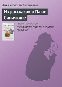 Из рассказов о Паше Синичкине - Литвиновы Анна и Сергей (книги TXT) 📗