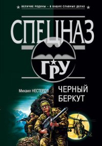 Черный беркут - Нестеров Михаил Петрович (книги без регистрации бесплатно полностью TXT) 📗