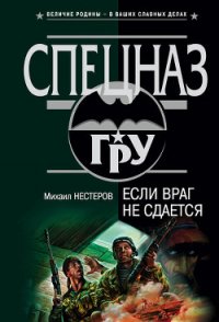 Если враг не сдается - Нестеров Михаил Петрович (читать хорошую книгу .TXT) 📗