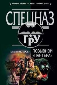 Позывной «Пантера» - Нестеров Михаил Петрович (онлайн книга без TXT) 📗