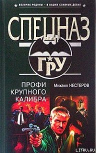 Профи крупного калибра - Нестеров Михаил Петрович (читать книги онлайн .TXT) 📗