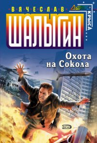 Охота на Сокола - Шалыгин Вячеслав Владимирович (книга бесплатный формат txt) 📗