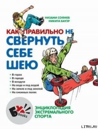 Как правильно не свернуть себе шею - Софиев Низами (книги онлайн без регистрации полностью .txt) 📗