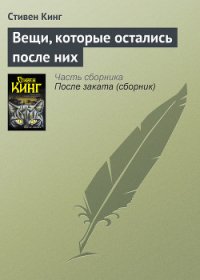 Вещи, которые остались после них - Кинг Стивен (онлайн книга без TXT) 📗