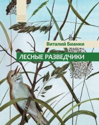 Лесные разведчики (сборник) - Бианки Виталий Валентинович (читать книги бесплатно полностью .TXT) 📗