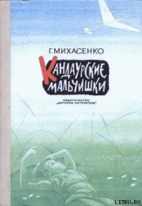 Кандаурские мальчишки - Михасенко Геннадий Павлович (читать книги полные TXT) 📗