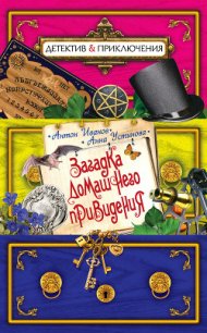 Загадка домашнего привидения - Иванов Антон Давидович (читаем книги .TXT) 📗