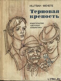 Терновая крепость - Фекете Иштван (электронная книга txt) 📗