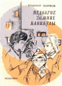 Недолгие зимние каникулы - Добряков Владимир Андреевич (читать книги онлайн полностью без регистрации .TXT) 📗