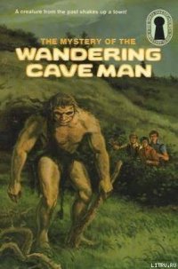 Тайна пещерного человека - Кэри Мэри Вирджиния (серии книг читать бесплатно txt) 📗