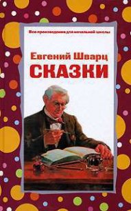 Рассеянный волшебник - Шварц Евгений Львович (читать книги онлайн бесплатно полностью без txt) 📗