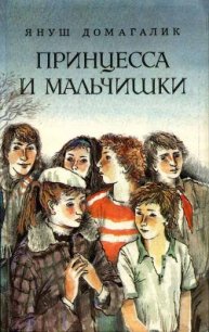 Принцесса и мальчишки - Домагалик Януш (первая книга .TXT) 📗