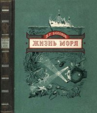 Жизнь моря - Богоров Венианим Григорьевич (книги без регистрации бесплатно полностью .txt) 📗