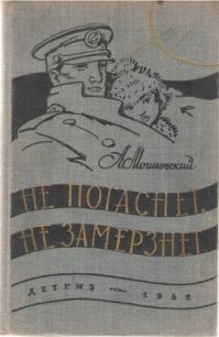 Ночная встреча - Мошковский Анатолий Иванович (читать книги бесплатно полностью без регистрации .txt) 📗