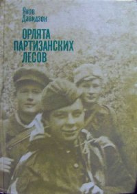 Орлята партизанских лесов - Давидзон Яков Борисович (книги онлайн бесплатно TXT) 📗