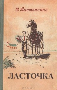 Ласточка - Пистоленко Владимир Иванович (книги хорошего качества txt) 📗