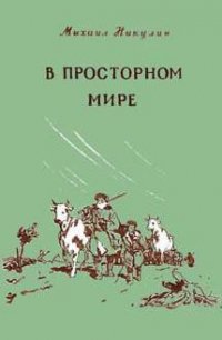 В просторном мире - Никулин Михаил Андреевич (электронные книги без регистрации txt) 📗