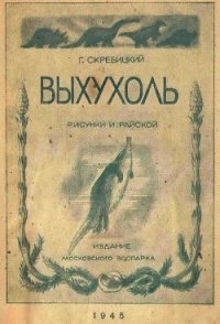 Выхухоль - Скребицкий Георгий Алексеевич (книги без регистрации бесплатно полностью сокращений txt) 📗