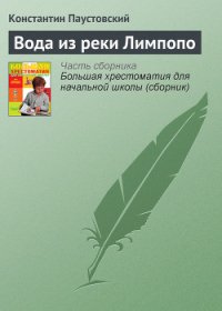 Вода из реки Лимпопо - Паустовский Константин Георгиевич (читать книги регистрация .TXT) 📗