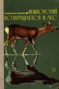 Нежнорогий возвращается в лес - Будрис Римантас (книги онлайн без регистрации .txt) 📗