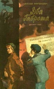 Два Гавроша - Шмушкевич Михаил Юрьевич (книги полностью txt) 📗