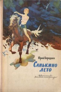 Санькино лето - Бородкин Юрий Серафимович (книги регистрация онлайн бесплатно TXT) 📗