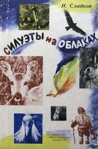 Силуэты на облаках - Сладков Николай Иванович (читать книги онлайн без регистрации TXT) 📗